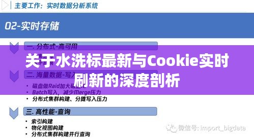 关于水洗标最新与Cookie实时刷新的深度剖析