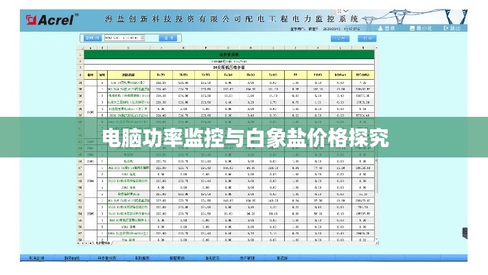 电脑功率监控与白象盐价格探究