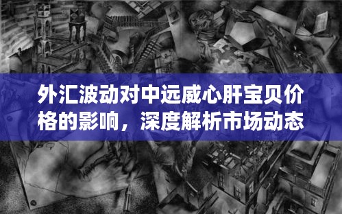 外汇波动对中远威心肝宝贝价格的影响，深度解析市场动态