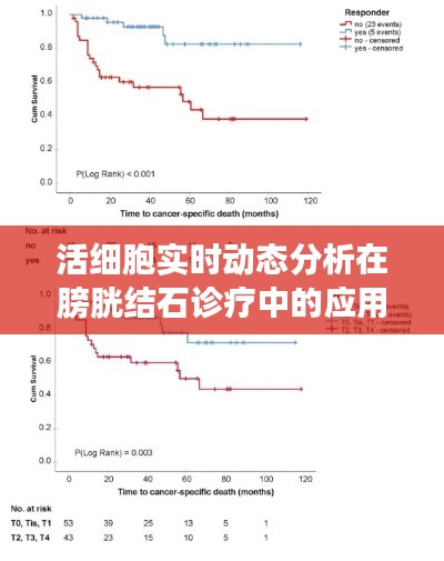 活细胞实时动态分析在膀胱结石诊疗中的应用及其价格考量