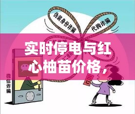 实时停电与红心柚苗价格,全面解析及防范虚假宣传