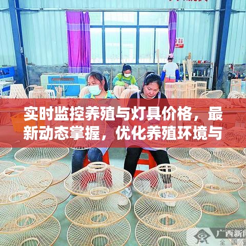 实时监控养殖与灯具价格,最新动态掌握,优化养殖环境与成本控制策略