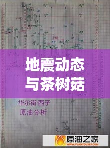 地震动态与茶树菇价格，世界动态与日常关注焦点
