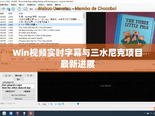 Win视频实时字幕与三水尼克项目最新进展