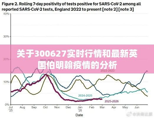 关于300627实时行情和最新英国伯明翰疫情的分析