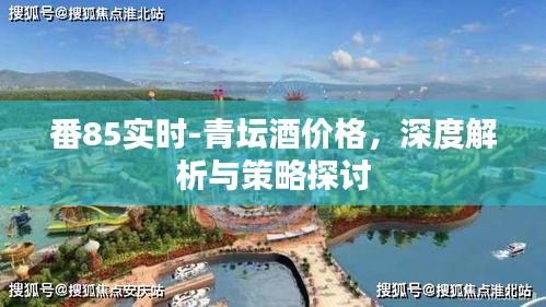番85实时-青坛酒价格,深度解析与策略探讨