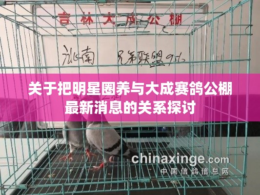 关于把明星圈养与大成赛鸽公棚最新消息的关系探讨