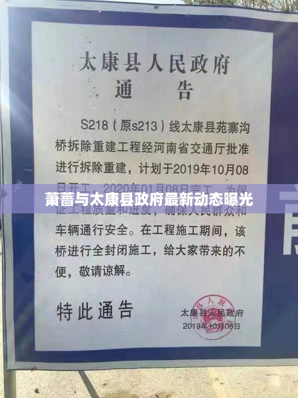 萧蔷与太康县政府最新动态曝光