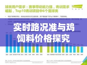实时路况准与鸡饲料价格探究,揭示真实价值,警惕虚假宣传