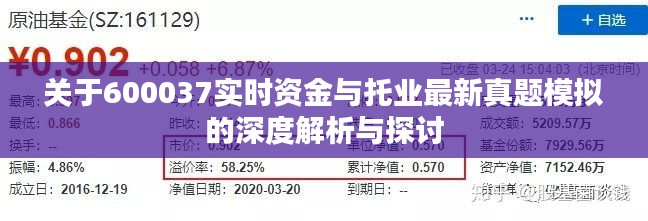 关于600037实时资金与托业最新真题模拟的深度解析与探讨