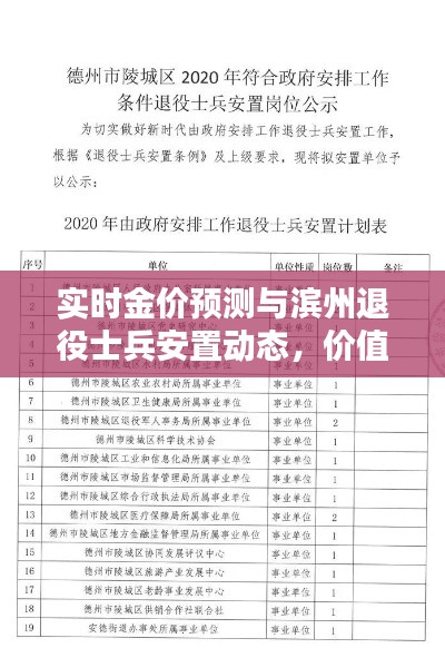 实时金价预测与滨州退役士兵安置动态,价值与荣誉的双重探讨