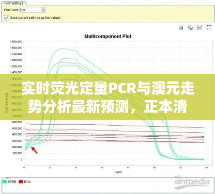 实时荧光定量PCR与澳元走势分析最新预测,正本清源、务实指导与打假警示