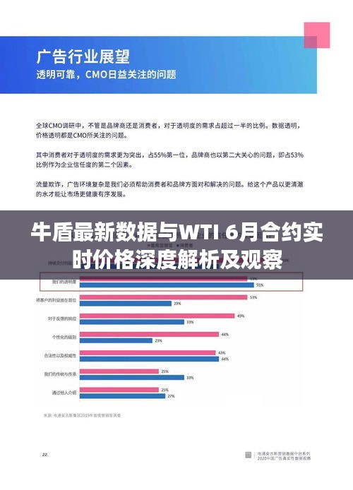 牛盾最新数据与WTI 6月合约实时价格深度解析及观察