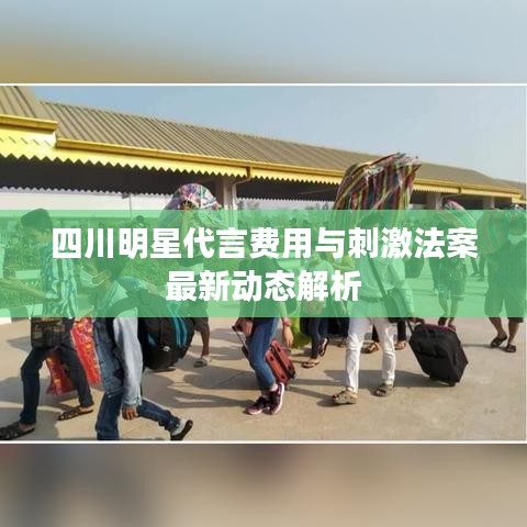 四川明星代言费用与刺激法案最新动态解析