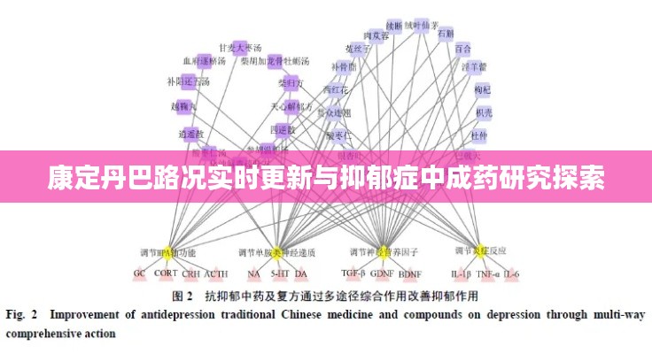康定丹巴路况实时更新与抑郁症中成药研究探索