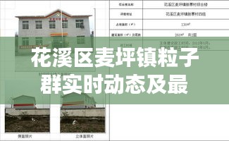 花溪区麦坪镇粒子群实时动态及最新消息速递