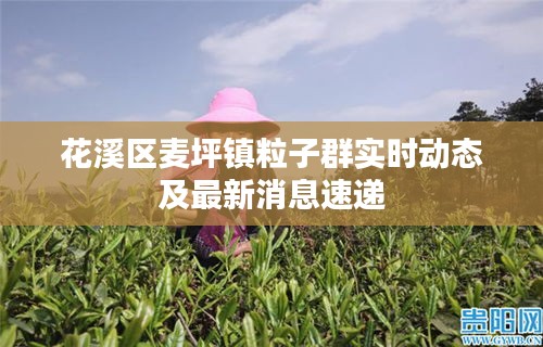 花溪区麦坪镇粒子群实时动态及最新消息速递