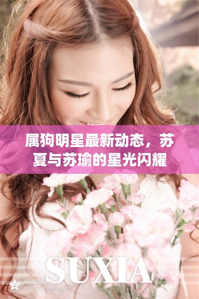 属狗明星最新动态,苏夏与苏瑜的星光闪耀