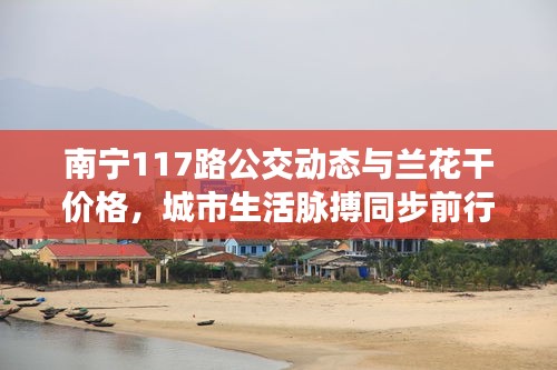 南宁117路公交动态与兰花干价格,城市生活脉搏同步前行