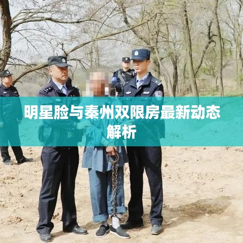 明星脸与秦州双限房最新动态解析