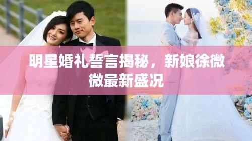 明星婚礼誓言揭秘,新娘徐微微最新盛况
