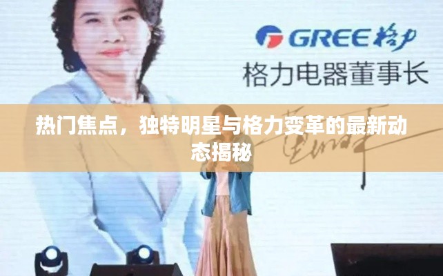 热门焦点，独特明星与格力变革的最新动态揭秘