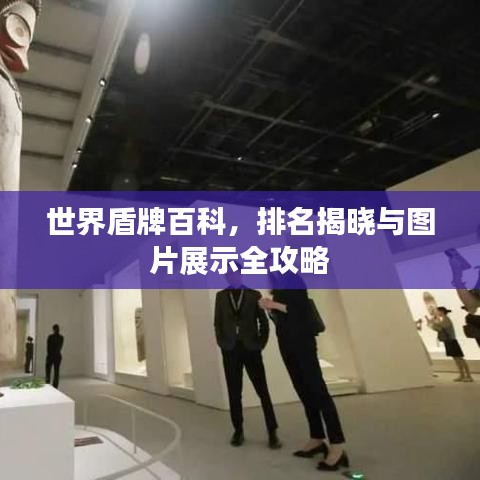 世界盾牌百科，排名揭晓与图片展示全攻略