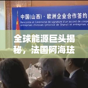 全球能源巨头揭秘，法国阿海珐集团的世界排名与地位