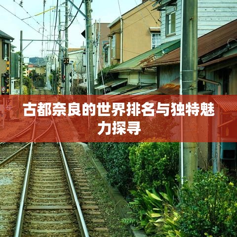古都奈良的世界排名与独特魅力探寻