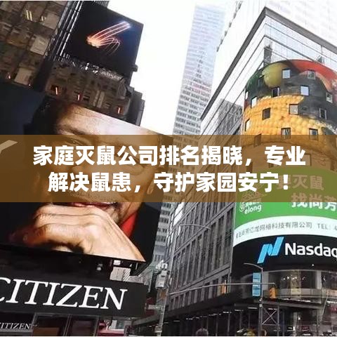 家庭灭鼠公司排名揭晓，专业解决鼠患，守护家园安宁！