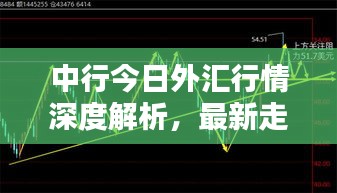 中行今日外汇行情深度解析，最新走势及策略建议