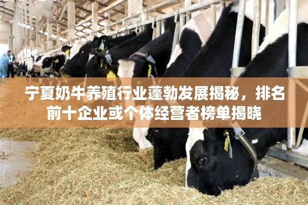 宁夏奶牛养殖行业蓬勃发展揭秘，排名前十企业或个体经营者榜单揭晓