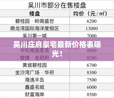 吴川庄府豪宅最新价格表曝光！