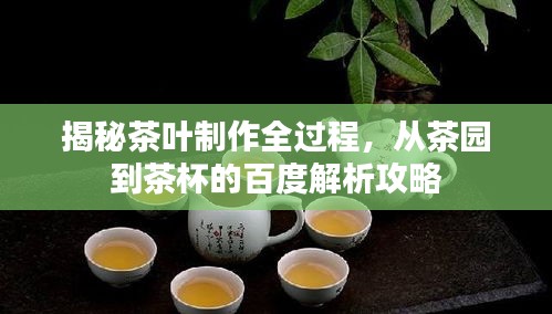 揭秘茶叶制作全过程，从茶园到茶杯的百度解析攻略