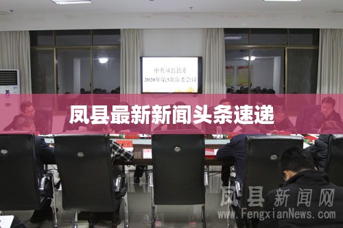 凤县最新新闻头条速递