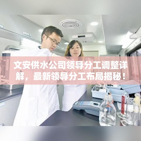 文安供水公司领导分工调整详解，最新领导分工布局揭秘！