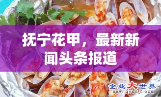 抚宁花甲，最新新闻头条报道
