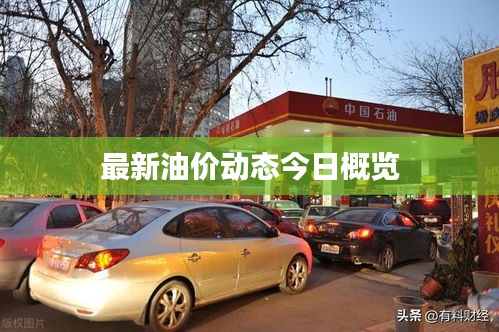 最新油价动态今日概览