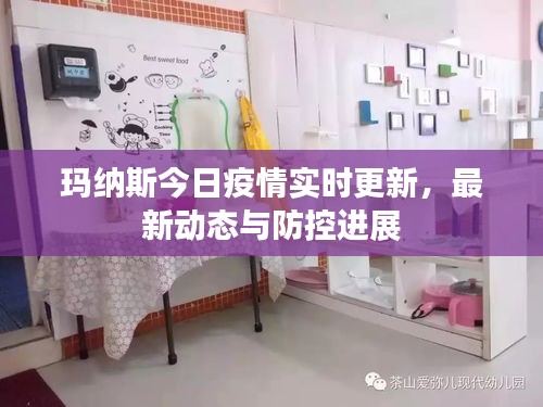 玛纳斯今日疫情实时更新，最新动态与防控进展