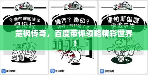 楚枫传奇，百度带你领略精彩世界！