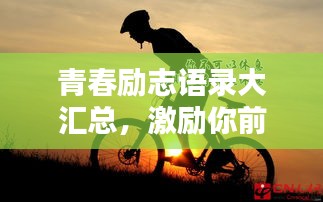 青春励志语录大汇总，激励你前行的力量源泉