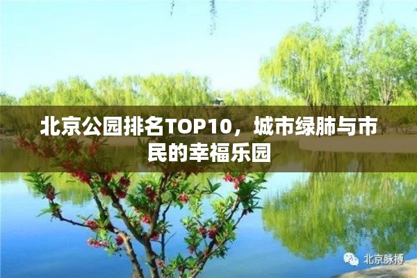 北京公园排名TOP10，城市绿肺与市民的幸福乐园