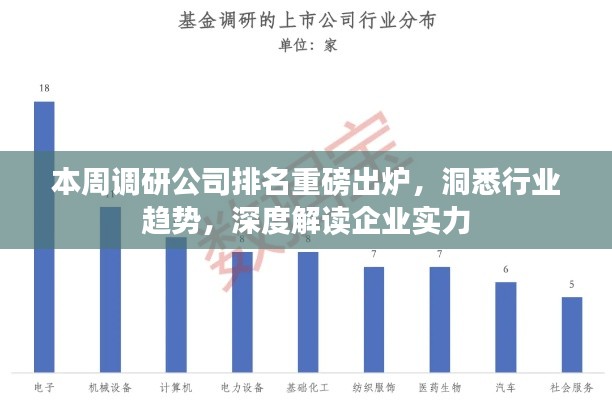 本周调研公司排名重磅出炉，洞悉行业趋势，深度解读企业实力