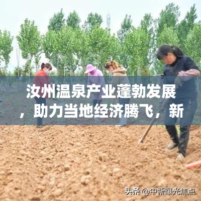 汝州温泉产业蓬勃发展，助力当地经济腾飞，新闻头条聚焦温泉经济