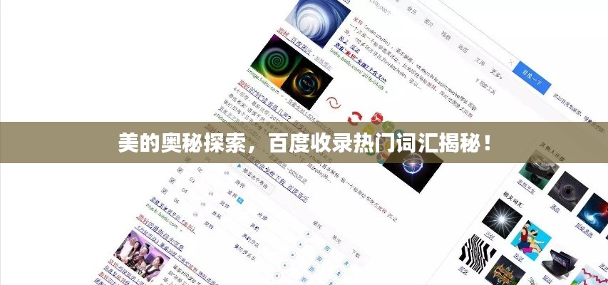 美的奥秘探索，百度收录热门词汇揭秘！