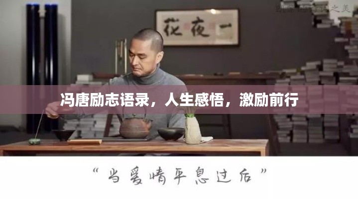 冯唐励志语录，人生感悟，激励前行