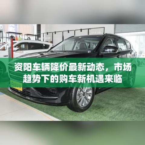 2025年7月17日 第2页