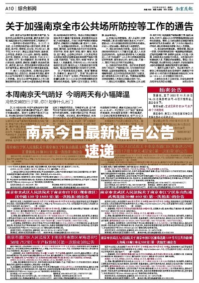 2025年7月