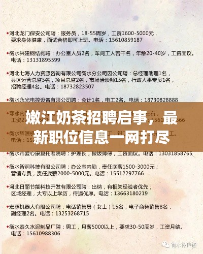 嫩江奶茶招聘启事，最新职位信息一网打尽