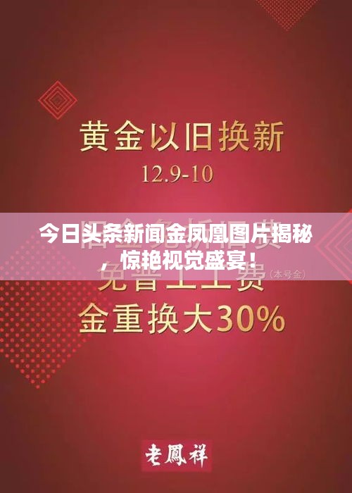今日头条新闻金凤凰图片揭秘，惊艳视觉盛宴！